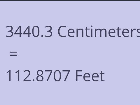 3440.3 CM TO FEET