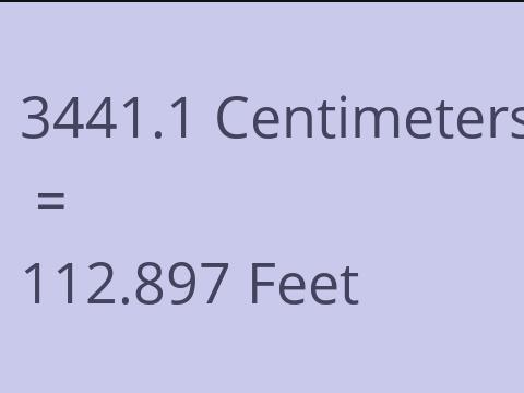 3441.1 CM TO FEET