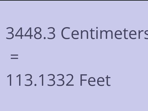 3448.3 CM TO FEET