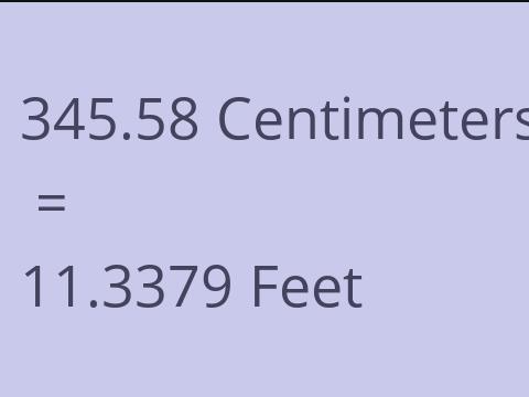 345.58 CM TO FEET