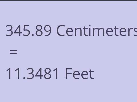 345.89 CM TO FEET