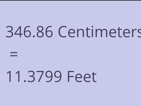 346.86 CM TO FEET