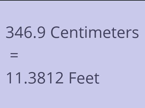 346.9 CM TO FEET