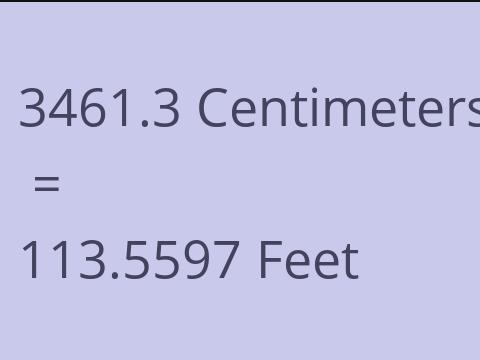 3461.3 CM TO FEET