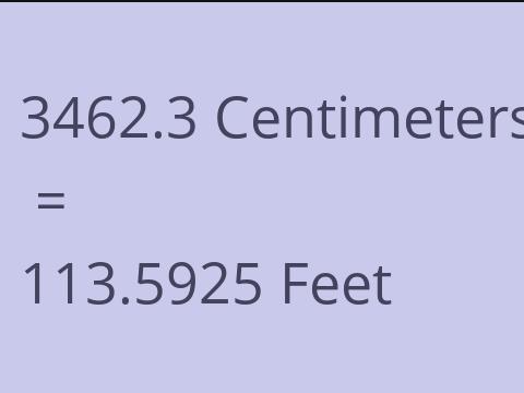 3462.3 CM TO FEET