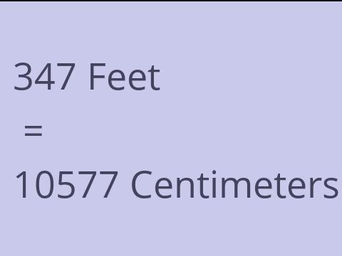 347 FEET TO CM