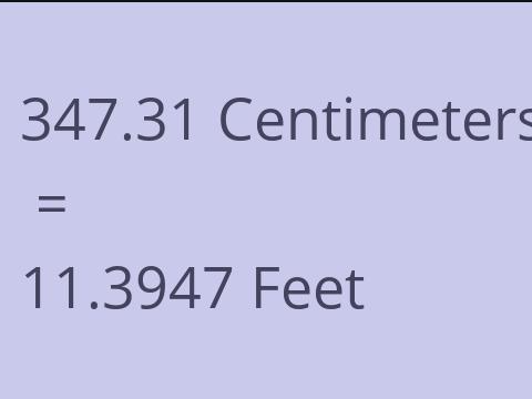 347.31 CM TO FEET