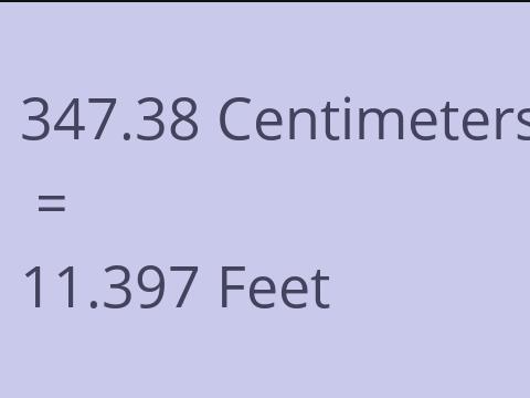 347.38 CM TO FEET