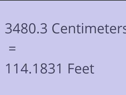 3480.3 CM TO FEET