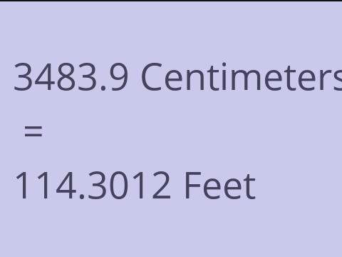 3483.9 CM TO FEET