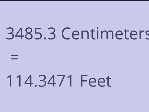3485.3 CM TO FEET