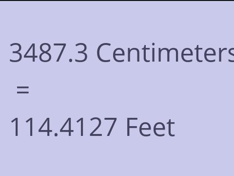 3487.3 CM TO FEET