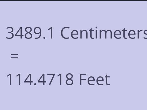3489.1 CM TO FEET