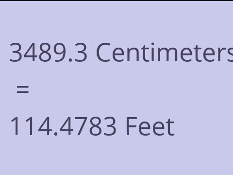 3489.3 CM TO FEET