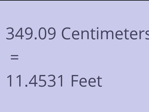 349.09 CM TO FEET