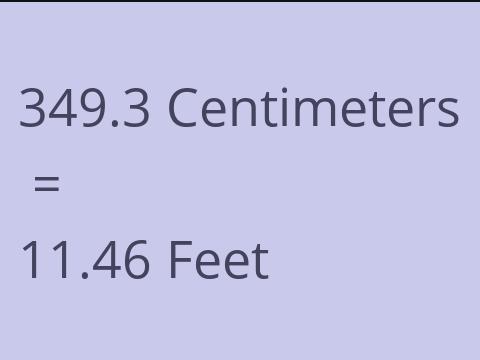 349.3 CM TO FEET