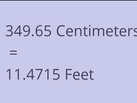 349.65 CM TO FEET