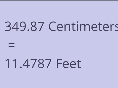 349.87 CM TO FEET