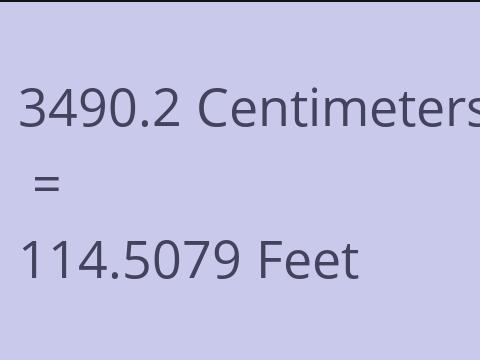 3490.2 CM TO FEET