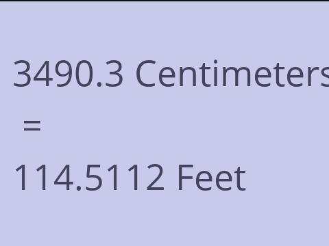 3490.3 CM TO FEET
