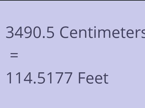 3490.5 CM TO FEET