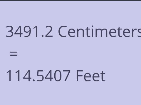 3491.2 CM TO FEET