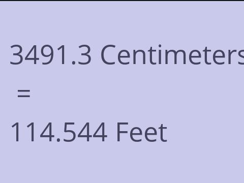 3491.3 CM TO FEET