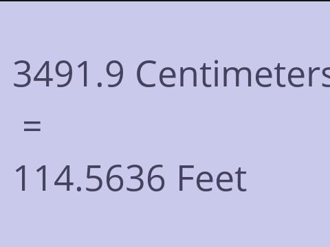 3491.9 CM TO FEET