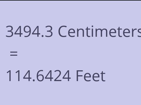 3494.3 CM TO FEET