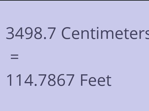 3498.7 CM TO FEET