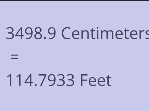 3498.9 CM TO FEET
