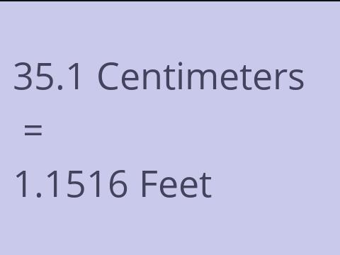 35.1 CM TO FEET