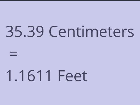 35.39 CM TO FEET