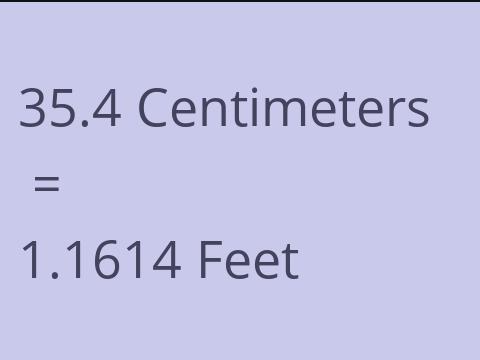 35.4 CM TO FEET