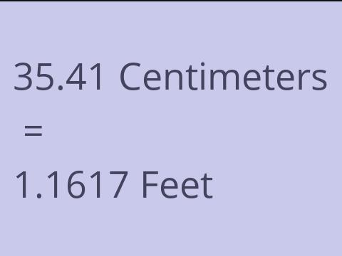 35.41 CM TO FEET