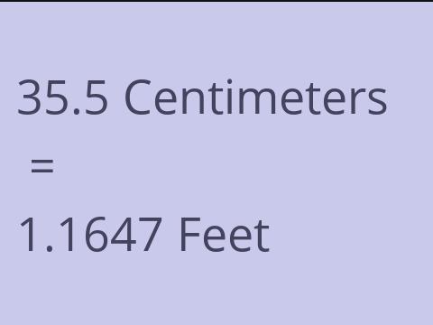 35.5 CM TO FEET