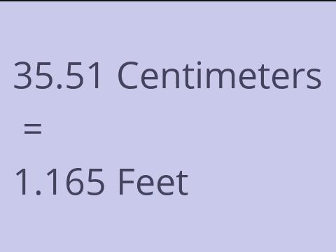 35.51 CM TO FEET