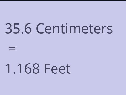 35.6 CM TO FEET