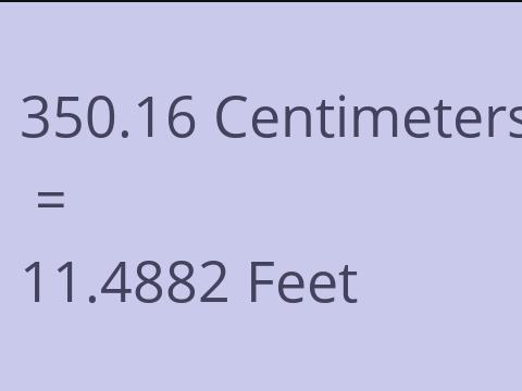 350.16 CM TO FEET