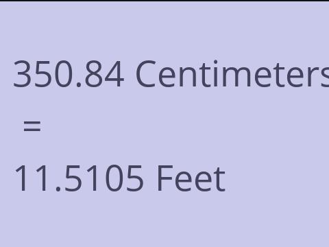 350.84 CM TO FEET