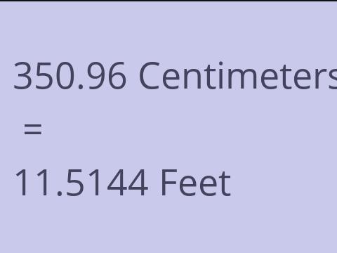 350.96 CM TO FEET