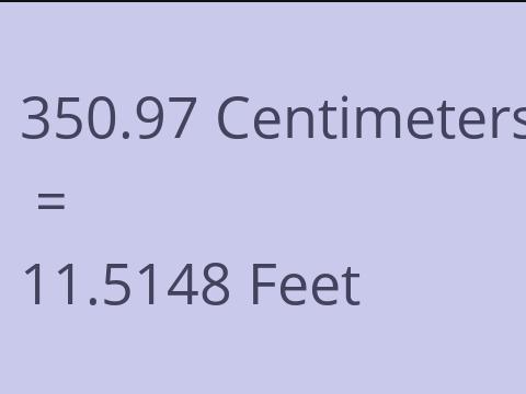 350.97 CM TO FEET