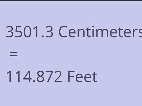 3501.3 CM TO FEET