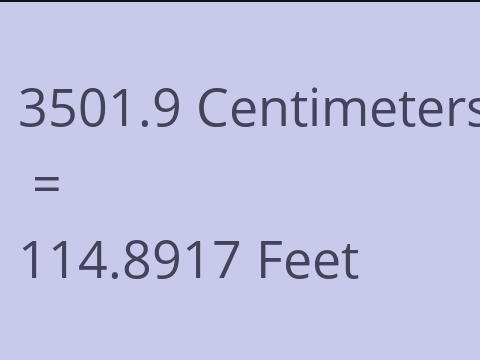 3501.9 CM TO FEET