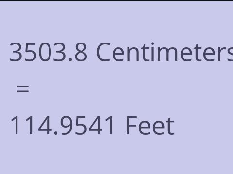 3503.8 CM TO FEET