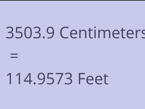 3503.9 CM TO FEET