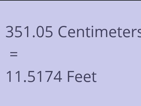 351.05 CM TO FEET