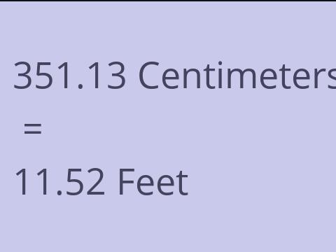 351.13 CM TO FEET