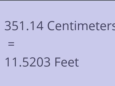 351.14 CM TO FEET