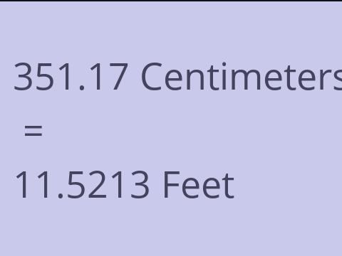 351.17 CM TO FEET